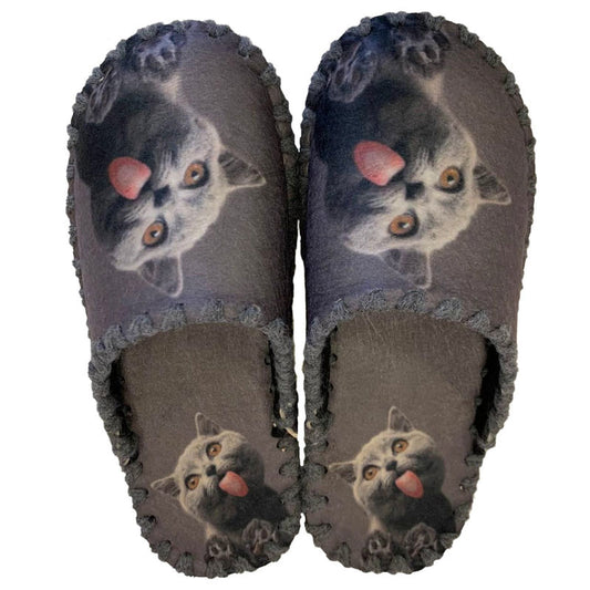 Весели пантофи - Плезещо се коте