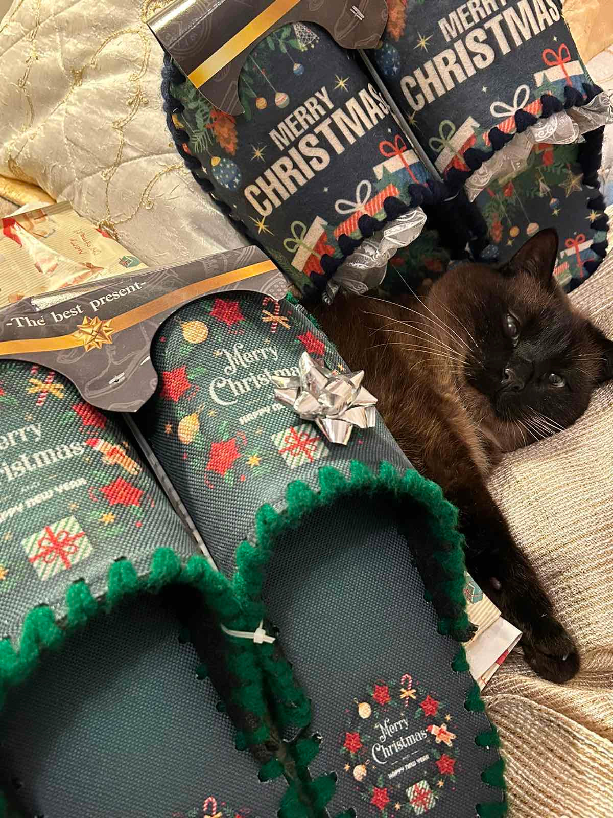 Весели пантофи - Коледа 1